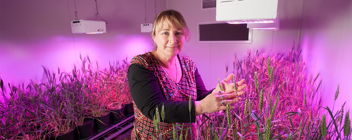 Woman standing amidst plants in a room with purple lighting, possibly in a plant growth chamber or indoor agriculture setup.