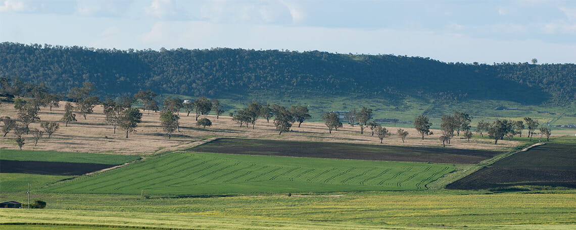 Rolling agricultural fields with varying shades of green at the foot of a tree-covered hill.