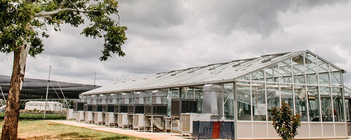 Modern greenhouse with ventilation systems under a cloudy sky.