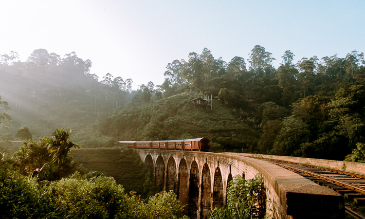 Sri Lankan countryside with train