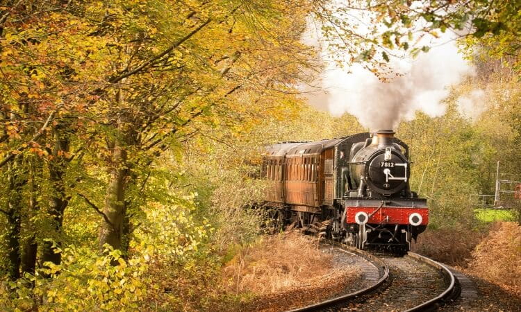 A vintage steam locomotive travels through an autumnal forest.