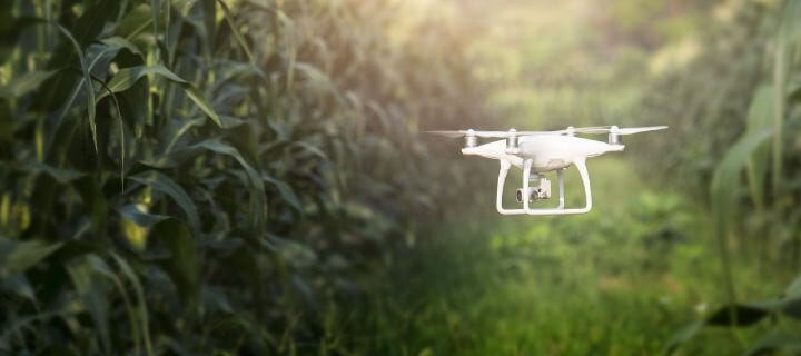 A white quadcopter drone flying over green vegetation in bright sunlight.